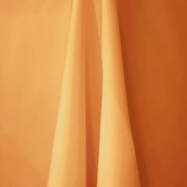 Rental store for Napkin,Basic,Gold in Sunnyvale CA