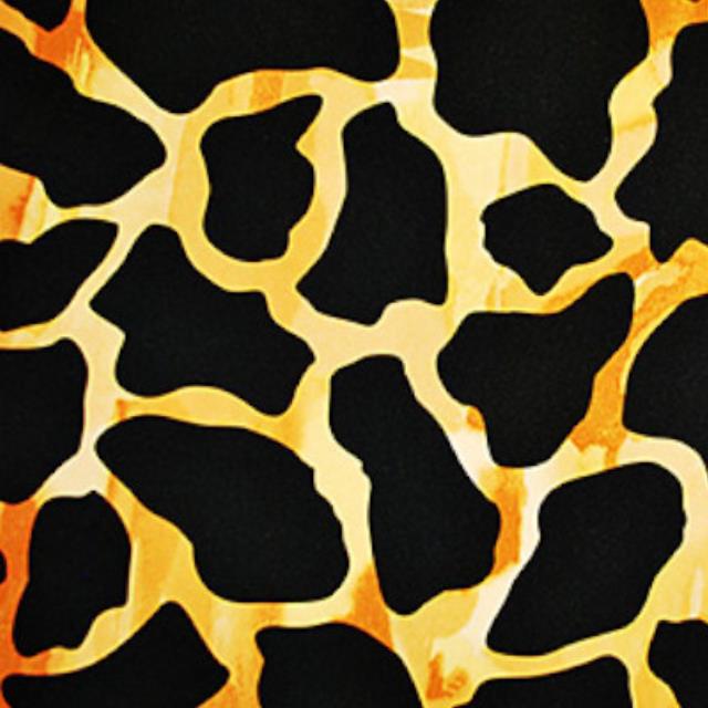 Rental store for Giraffe in Sunnyvale CA