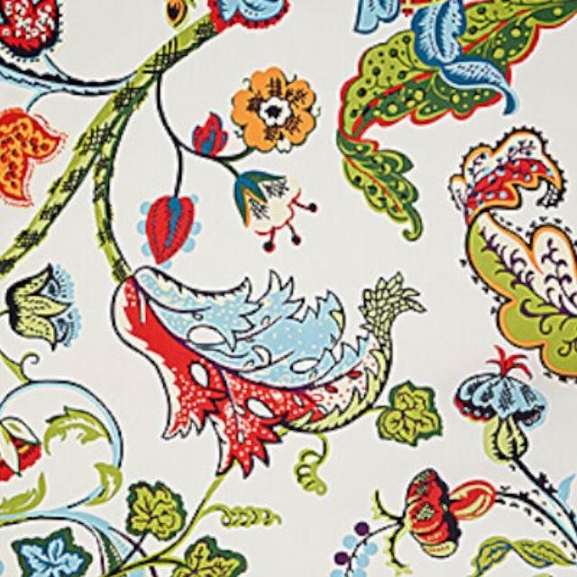 Rental store for Catalina in Sunnyvale CA