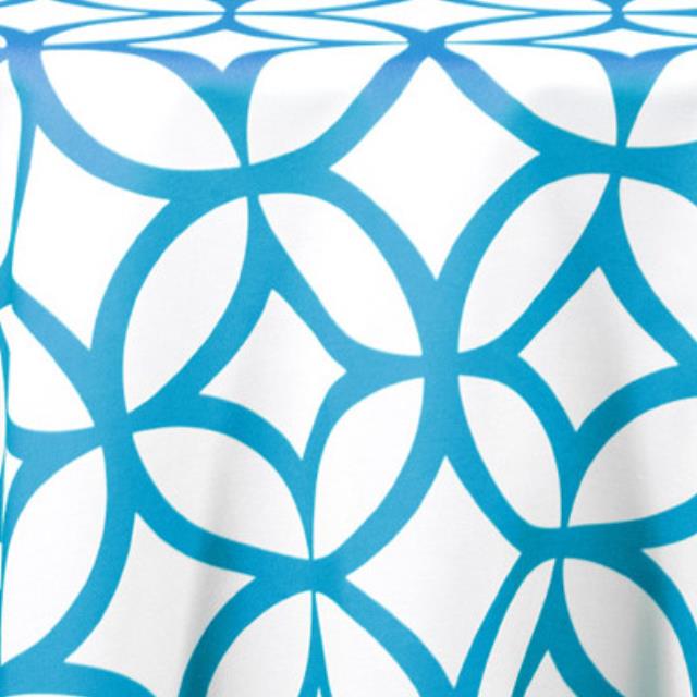 Rental store for Retro Cirque Aqua in Sunnyvale CA