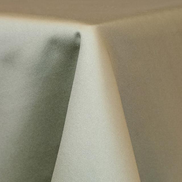 Rental store for Matte Satin Sage in Sunnyvale CA